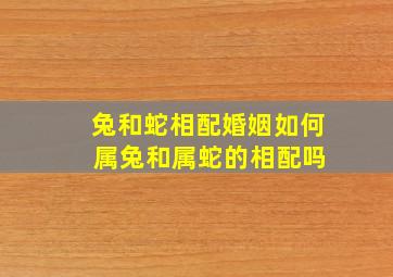 兔和蛇相配婚姻如何 属兔和属蛇的相配吗